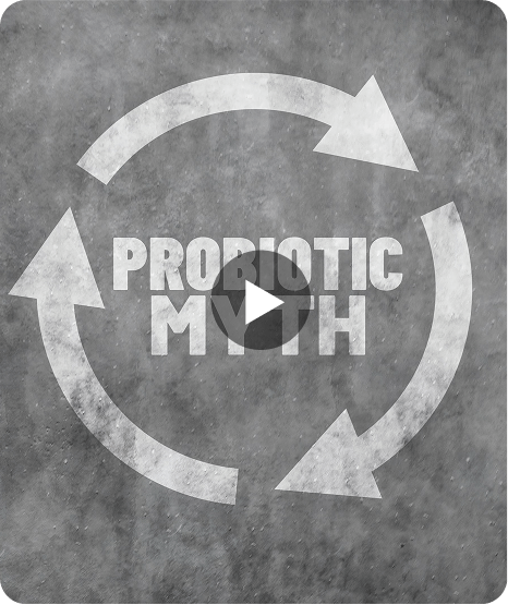 Support Program Banner