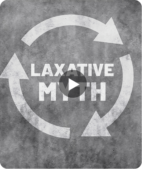 Support Program Banner