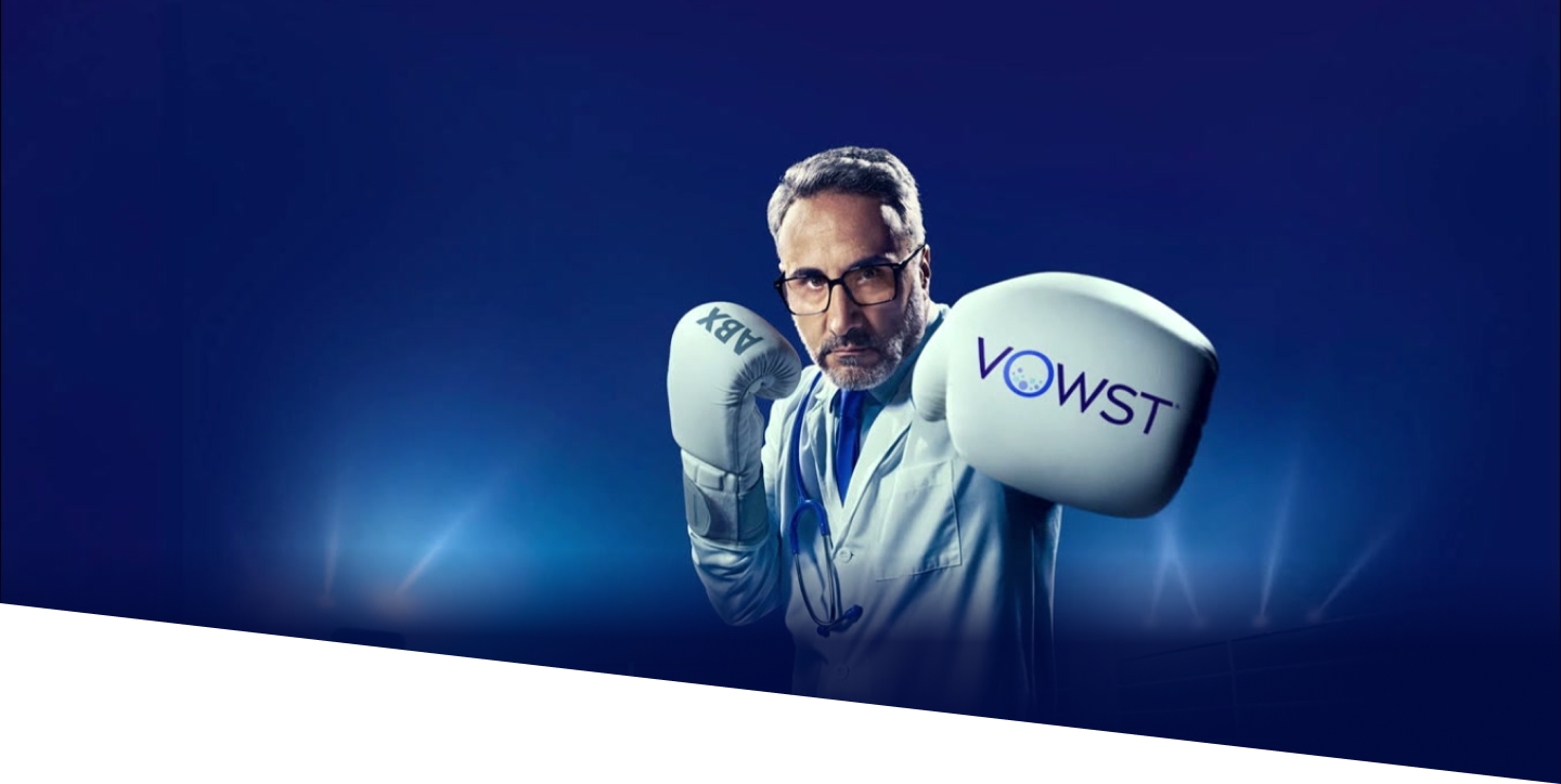 Vowst Punch Banner